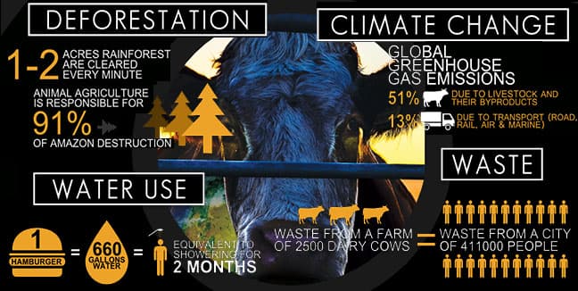 Cowspiracy　あらすじ