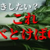 【25％死亡率低下】長生きしたけりゃ緑の葉物野菜を食べよう！というお話。