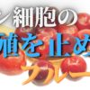 ガン予防に最も効果的な果物は？リンゴは3位、レモンは2位。1位は？