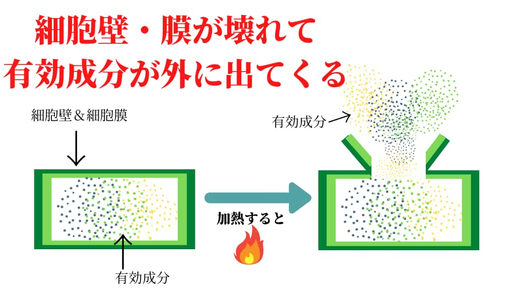 細胞壁を破壊して、吸収率アップ