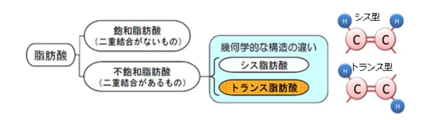 そもそもトランス脂肪酸とは