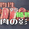 【驚きの結果】「植物性と動物性のお肉の体への影響を調べました」な実験