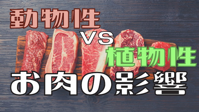 【驚きの結果】「植物性と動物性のお肉の体への影響を調べました」な実験