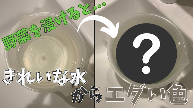 【驚愕】野菜を農薬低減水につけたら水が透明から◯色に！