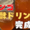 リンゴの発酵ドリンクアイキャッチ画像