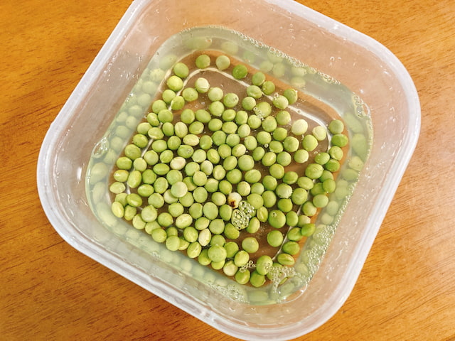 小さい緑の大豆